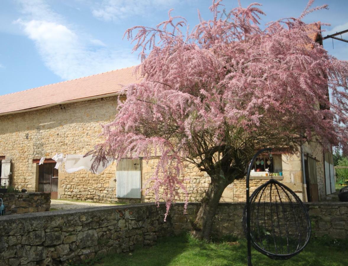 La Maison Du Bonheur Anlhiac Exteriör bild
